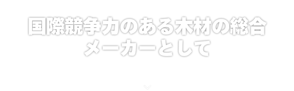 国際競争力のある木材の総合メーカーとして