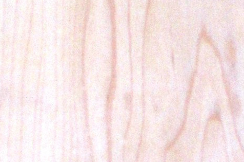 ハードメープル Hard Maple